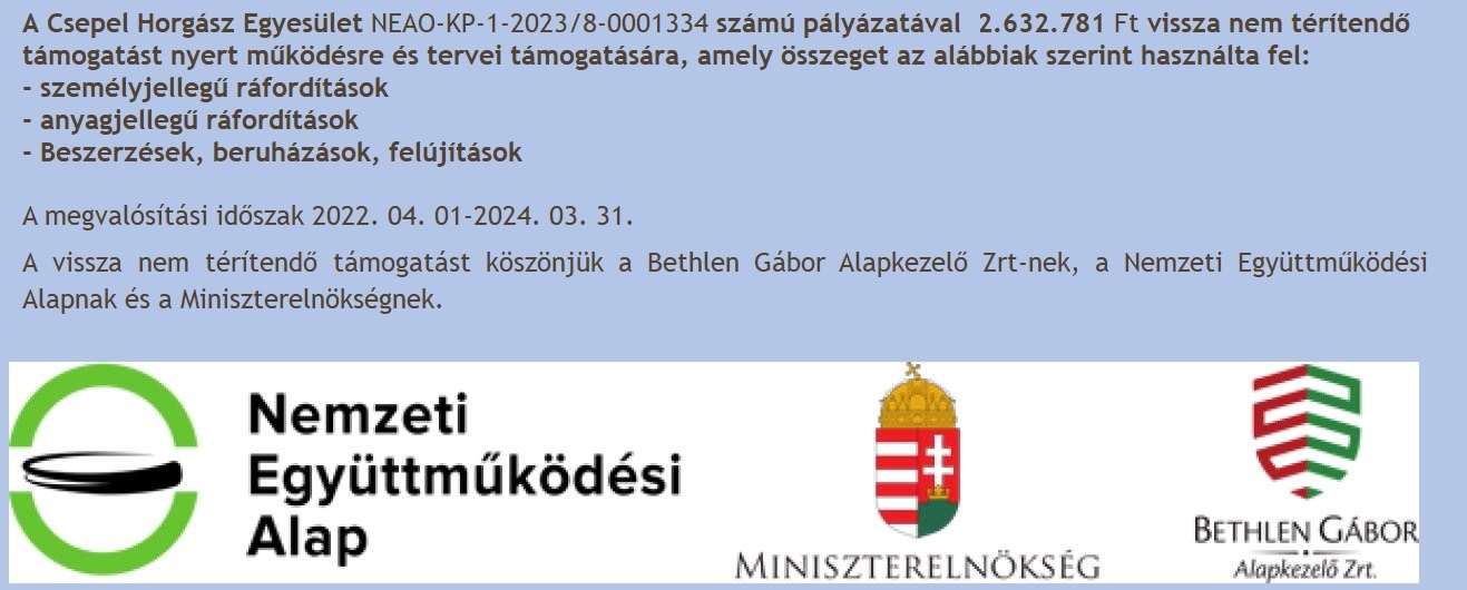 Palyazat kép